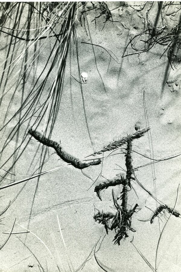 Camargue inconnue, Compagne de Massy, „Creation Photographique“, 18 bis, rue Gambetta, Massy